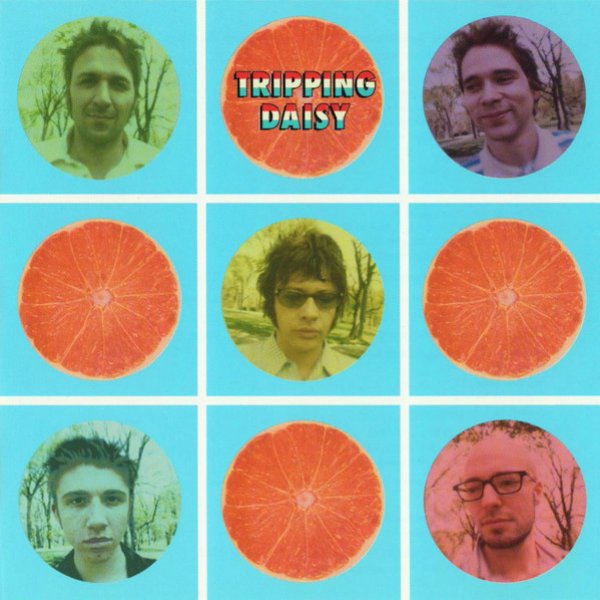 Tripping Daisy cover art
